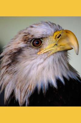 Book cover for Bald Eagle Basic Black Lined Journal