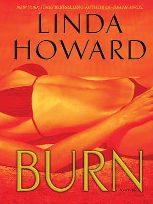 Book cover for Burn