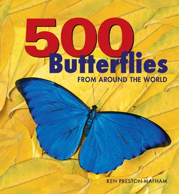 Book cover for 500 Butterflies: From around the World