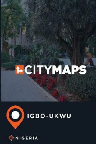 Cover of City Maps Igbo-Ukwu Nigeria