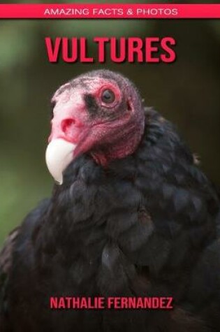 Cover of Vultures