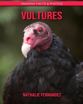 Book cover for Vultures