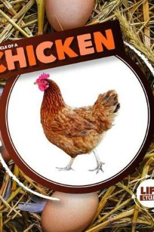 Cover of Life Cycle of a Chicken