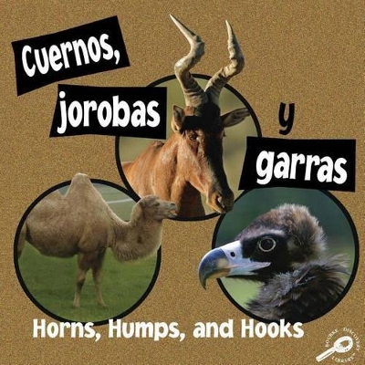 Book cover for Cuernos, Jorobas Y Garras