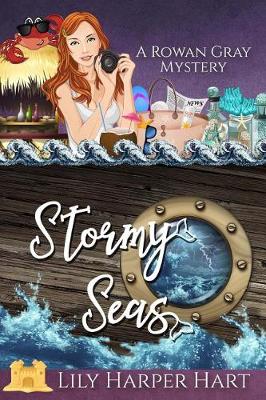 Book cover for Stormy Seas