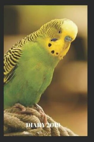 Cover of Yellow Green Budgie - Daily Diary 2019