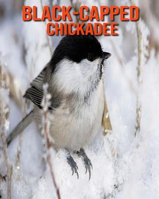 Book cover for Black-Capped Chickadee