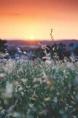 Book cover for Sunset Notebook - Beautiful Dawn