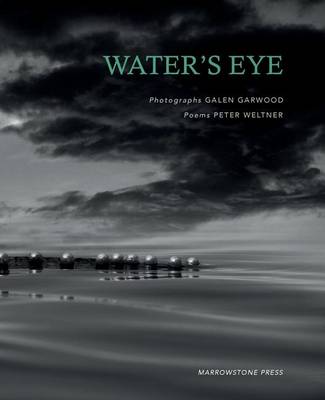 Book cover for Water's Eye