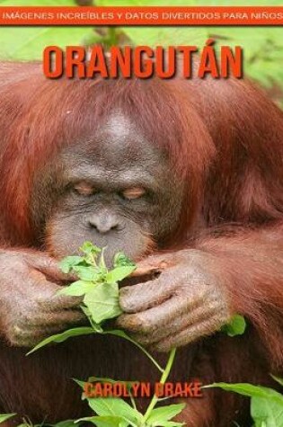 Cover of Orangután