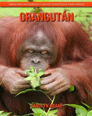 Book cover for Orangután