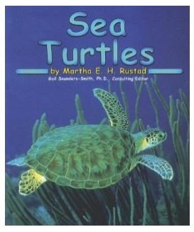 Book cover for Sea Turtles [Scholastic]