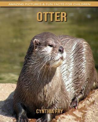 Book cover for Otter