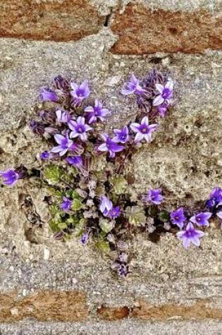 Cover of Purple Flowers Growing on a Stone Wall Journal