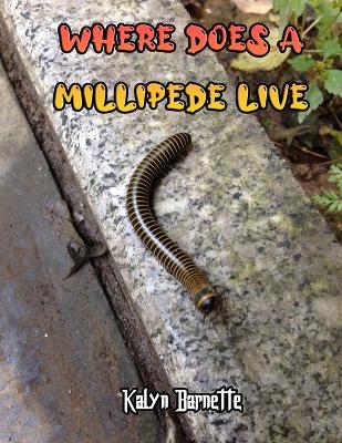 Book cover for Where Does a Millipede Live