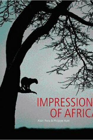 Cover of Impressions of Africa