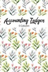 Book cover for 5 Column Accounting Ledger