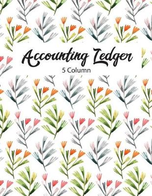 Book cover for 5 Column Accounting Ledger