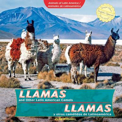 Book cover for Llamas and Other Latin American Camels / Llamas Y Otros Camélidos de Latinoamérica