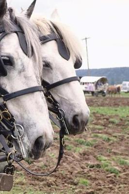 Book cover for Journal Percheron Tandem Equine Horse