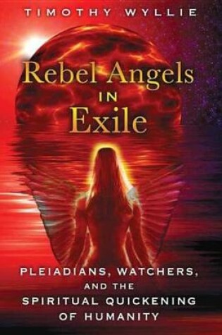 Cover of Rebel Angels in Exile