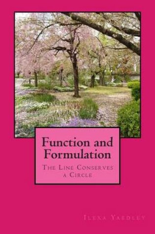 Cover of Function and Formulation