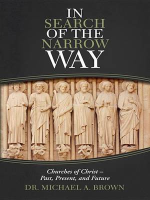 Book cover for In Search of the Narrow Way
