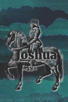 Book cover for Joshua