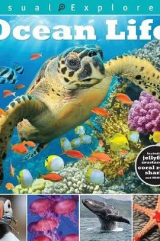 Cover of Ocean Life