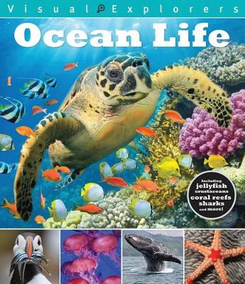 Cover of Ocean Life