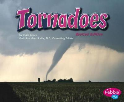 Book cover for Tornadoes (Earth in Action)