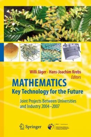 Cover of Mathematics - Key Technology for the Future