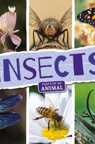 Cover of Insects