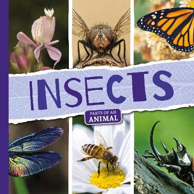 Cover of Insects