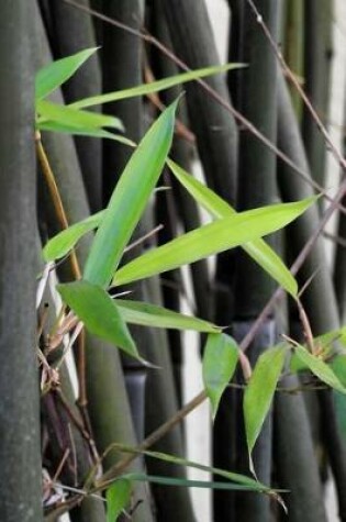 Cover of Fresh Leaves in a Bamboo Stand Journal