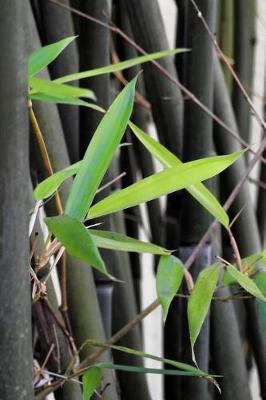 Book cover for Fresh Leaves in a Bamboo Stand Journal