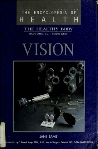 Book cover for Vision