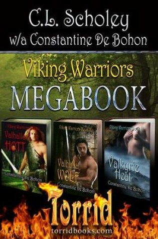 Cover of Viking Warriors Megabook