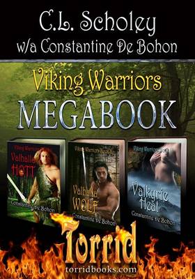 Book cover for Viking Warriors Megabook