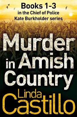 Book cover for Murder in Amish Country