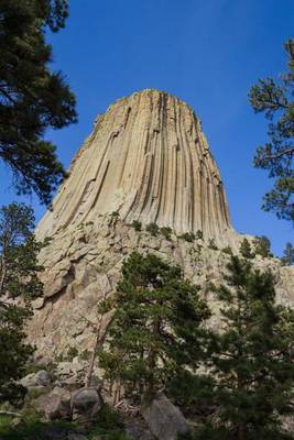 Book cover for Devil's Tower in Wyoming USA Journal