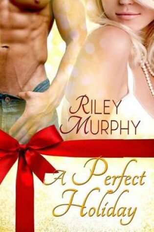 Cover of A Perfect Holiday