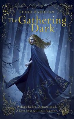 Book cover for The Gathering Dark
