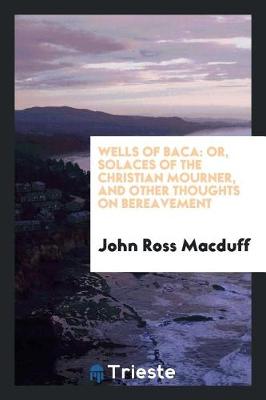 Book cover for Wells of Baca