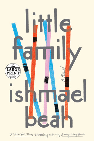 Book cover for Little Family
