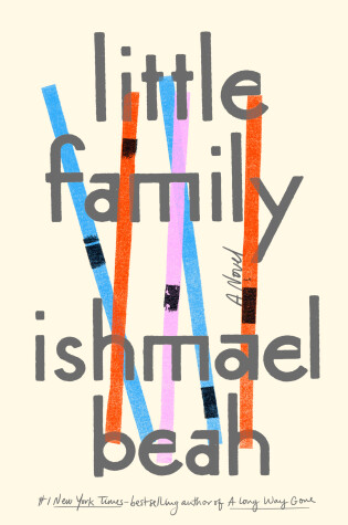 Book cover for Little Family