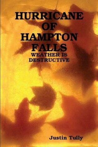 Cover of Hurricane Of Hampton Falls