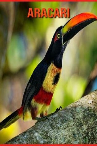 Cover of Aracari