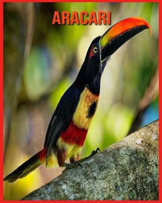 Book cover for Aracari