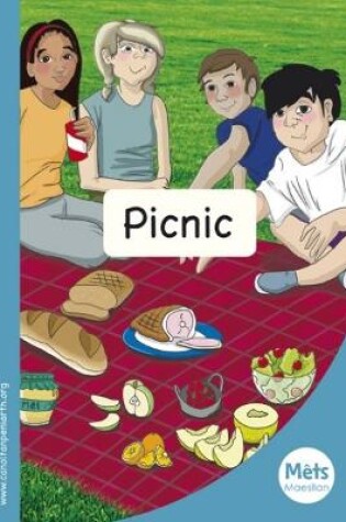 Cover of Mêts Maesllan: Picnic